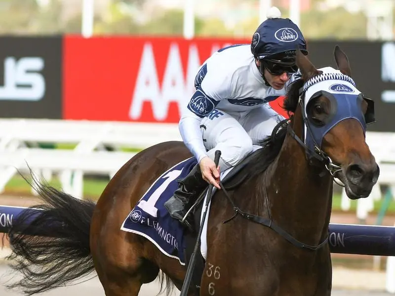 Tim Clark rides Celestial Falls to victory at Flemington