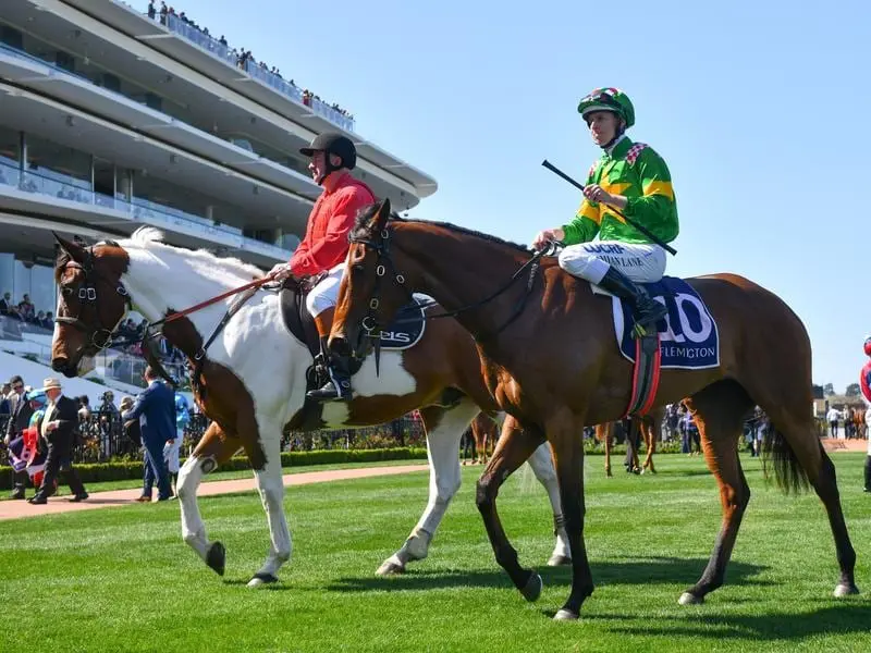 Wayupinthesky returns to scale after winning at Flemington.