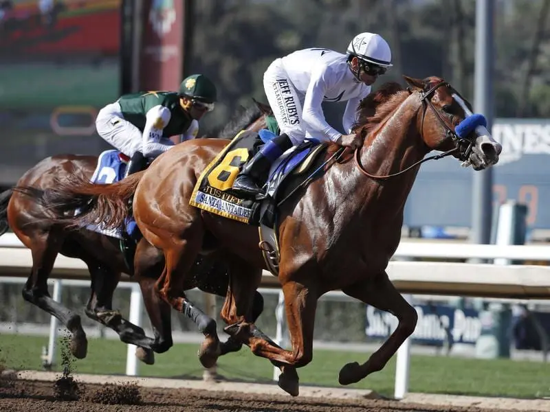 American Triple Crown winner Justify.