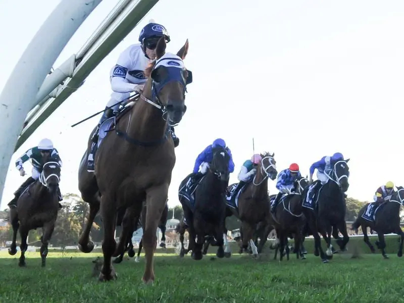 Samadoubt wins the Chelmsford Stakes.