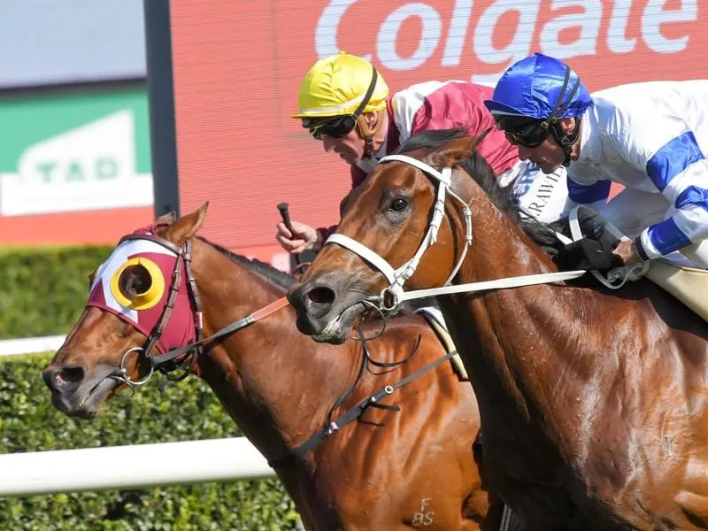 Kolding (outside) wins the Bill Ritchie Handicap.