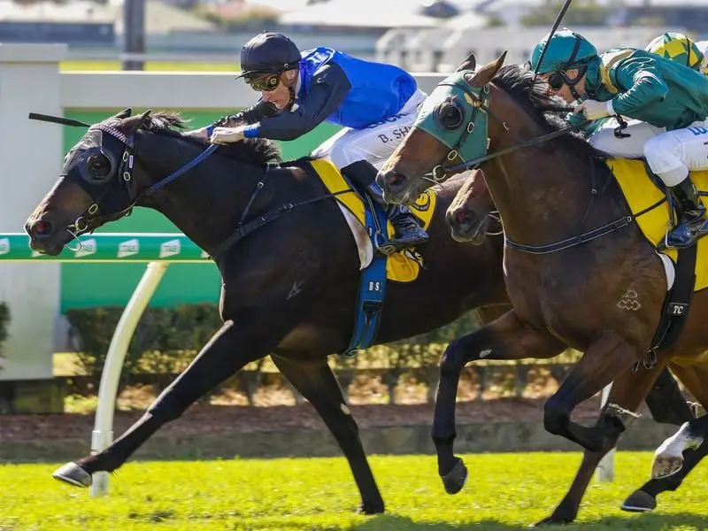 Blake Shinn rides Shadow Hero