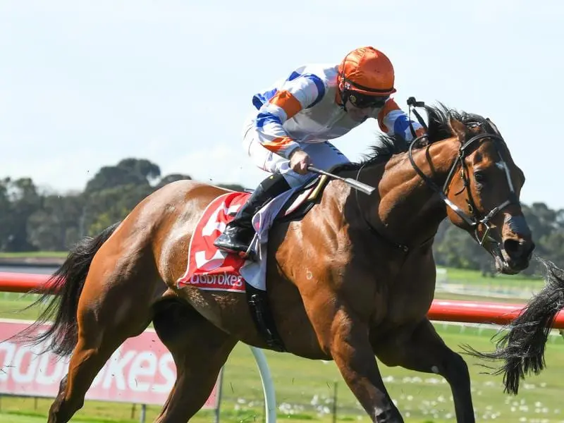 Quaffany wins at Sandown.