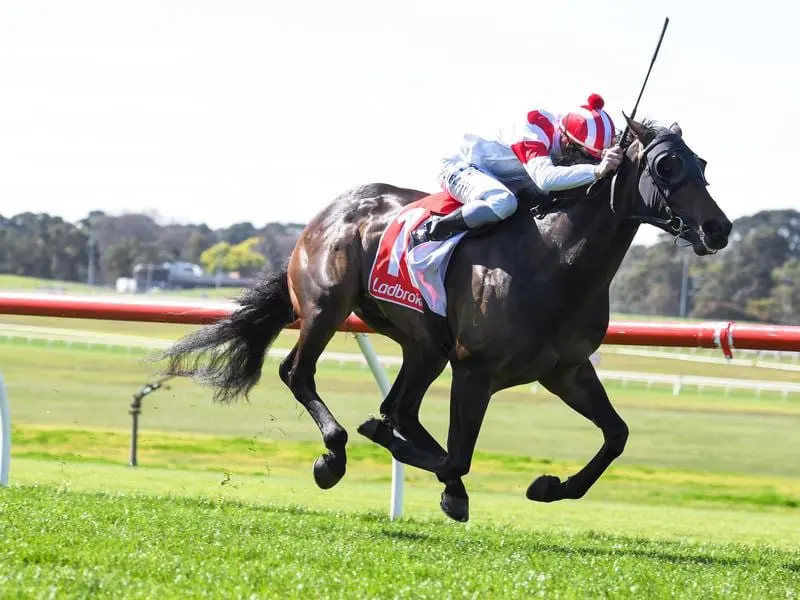 Pure Legend wins at Sandown.