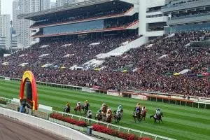 HKJC racing news