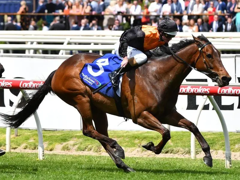 Rox The Castle wins at Caulfield.