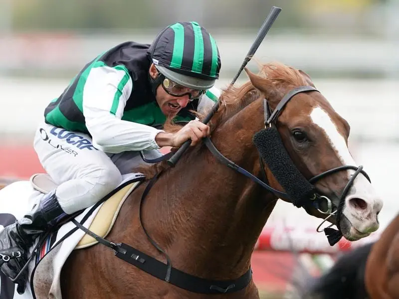 Serious Liaison wins at Caulfield.