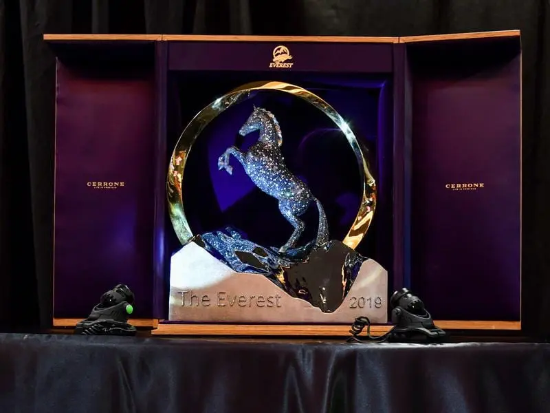 the everest trophy