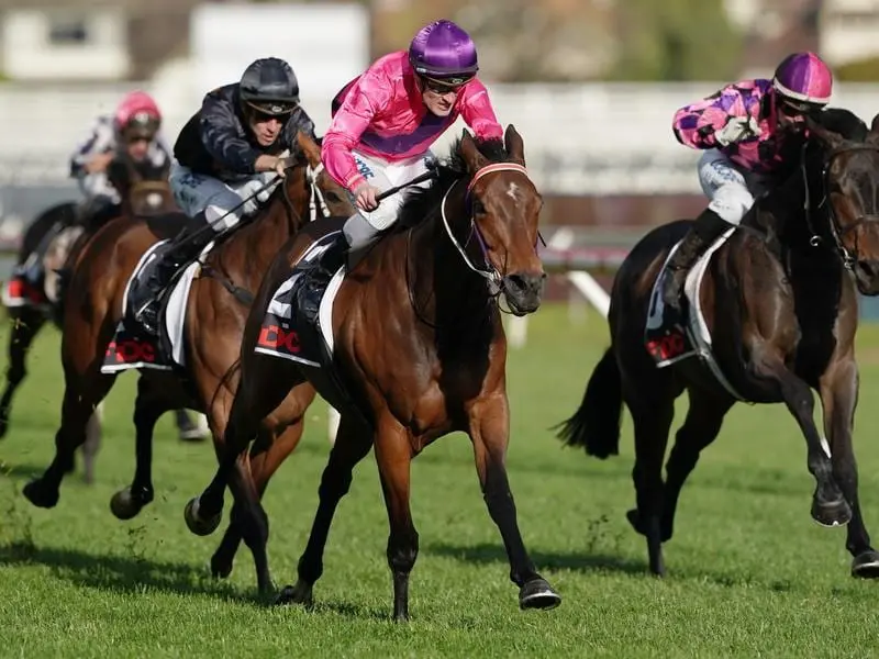 Spanish Reef wins at Caulfield.