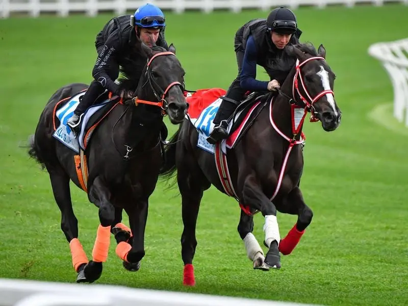 Kluger (left) and Lys Gracieux in action at The Valley.