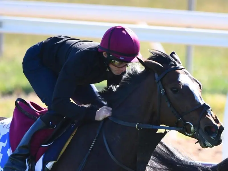 Magic Wand in trackwork at Werribee.