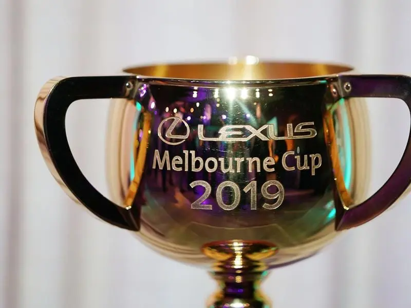 NZ mare Glory Days is injured and will not be among the next group of Melbourne Cup declarations. melbourne cup