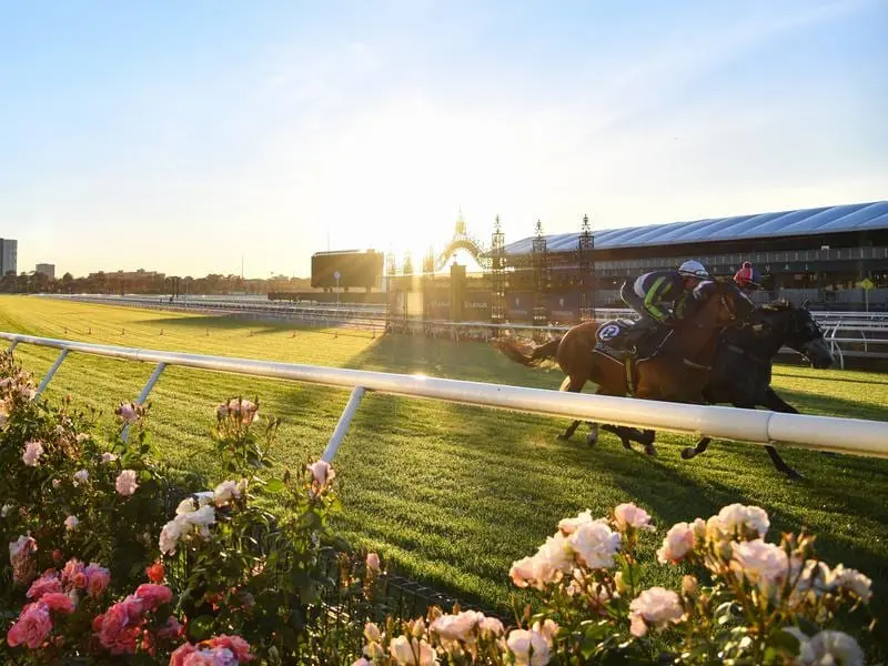 Lindsay Park Cup contenders Rostropovich and Neufbosc (R) have galloped at Flemington. rostropovich and neufbosc (r)