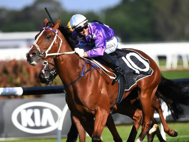 Cellarman will race at Eagle Farm.