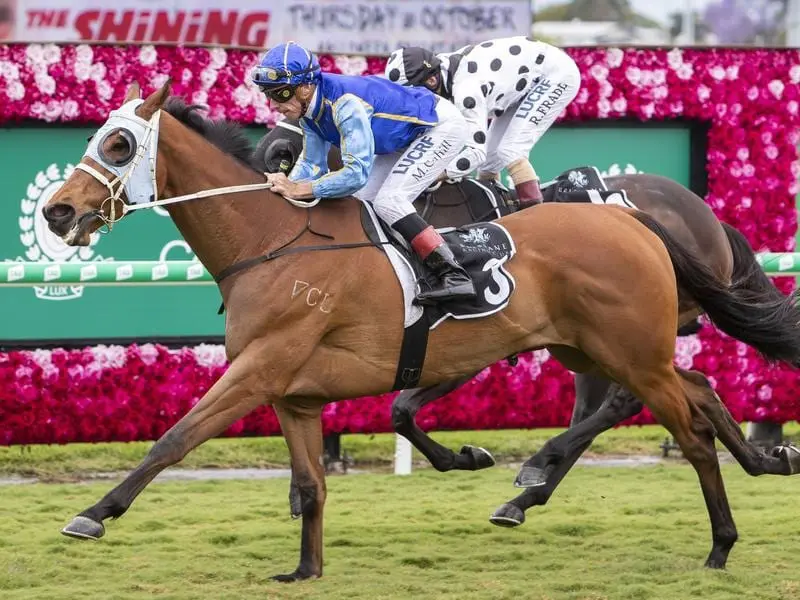 Sir Barnabus wins at Eagle Farm.