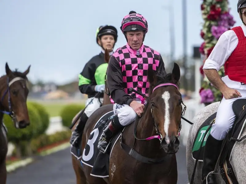 Rothfire returns to scale after winning at Eagle Farm.