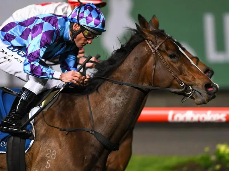 Princess Jenni has pleased trainer David Brideoake leading to her spring finale in the Empire Rose. princess jenni