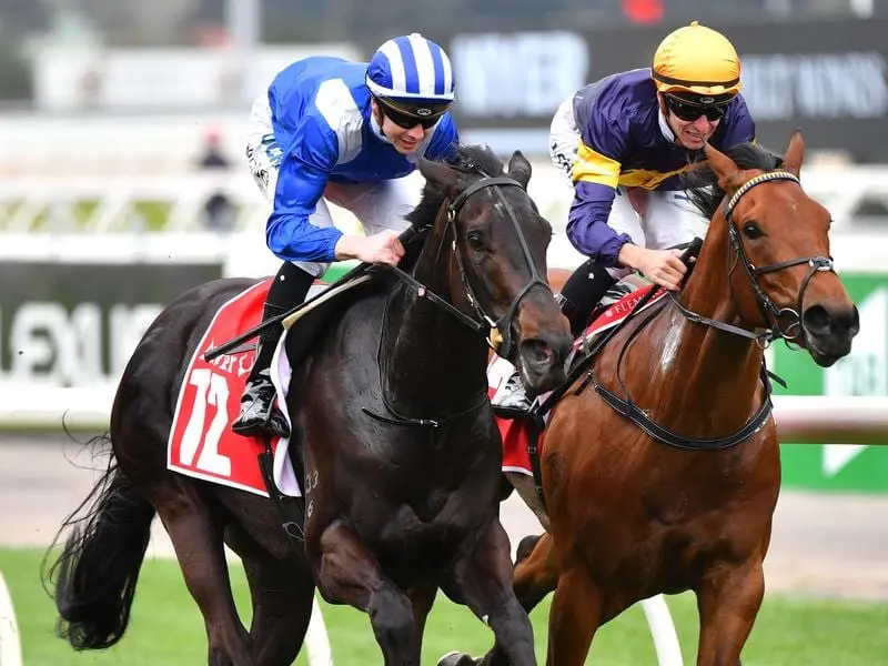 Taraayef wins at Flemington.