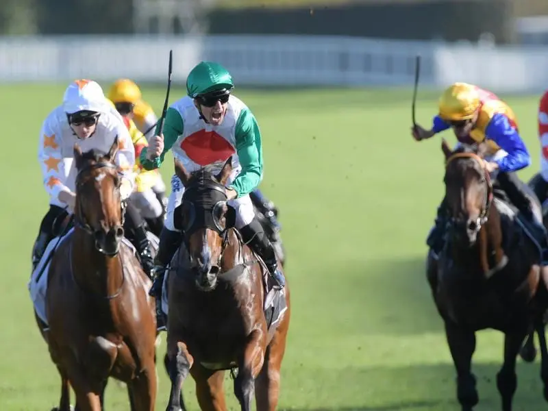 Arrowfield Stud has secured a managing share in Group One winner Castelvecchio (green). castelvecchio