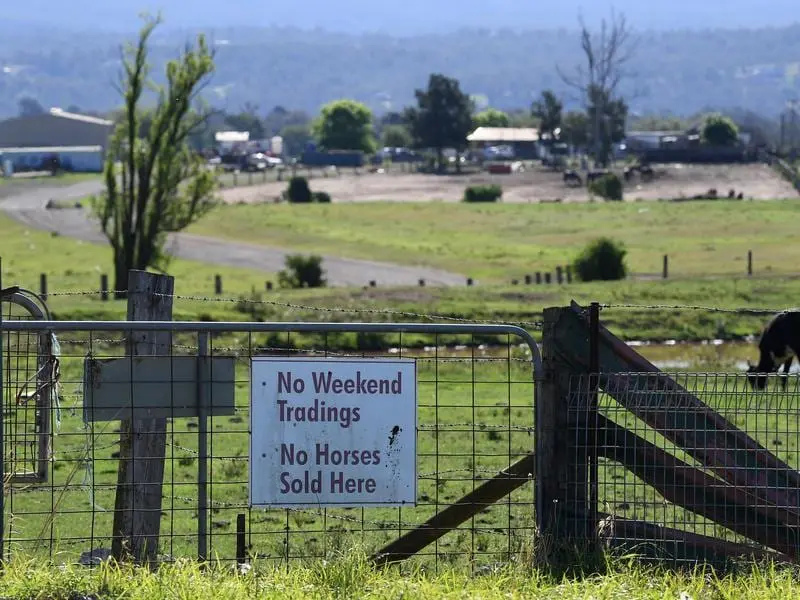 A picture of Luddenham Pet Meat in Sydney were horse meat is sold.