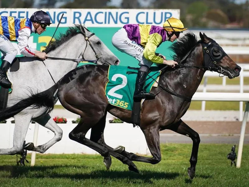 Long Jack wins the Geelong Classic.