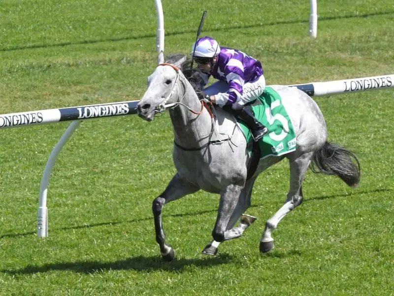 Greyworm wins at Randwick.