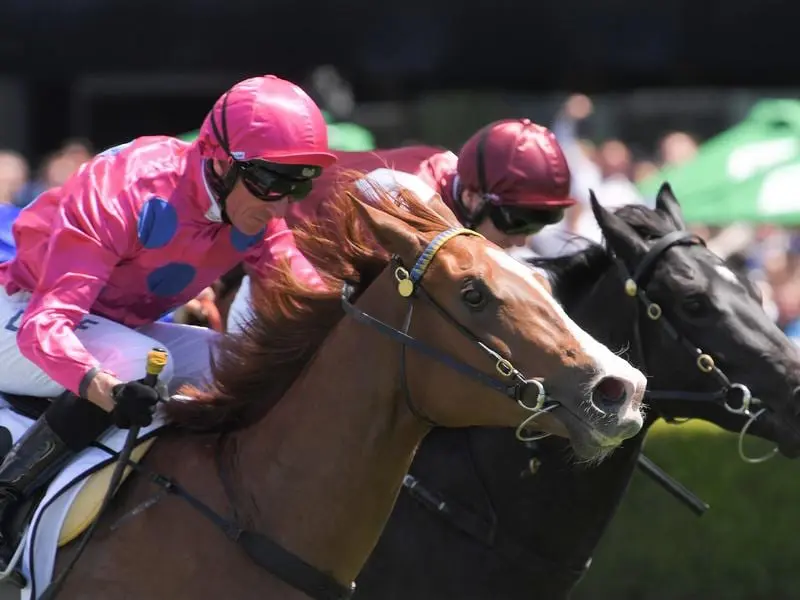 Time is Precious (left) wins the Victory Vein Plate.