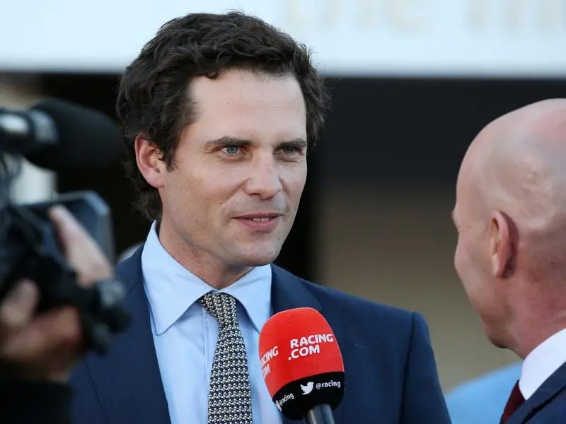 matt cumani