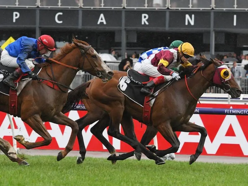 Fierce Impact has completed a spring Group One double with his $2 million Cantala Stakes victory. Fierce Impact wins the Cantala Stakes.