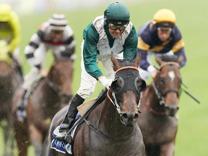 Exceedance has chased down Bivouac to take out the Group One Coolmore Stud Stakes at Flemington. Exceedance wins the Coolmore Stud Stakes at Flemington.