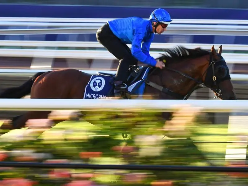 Godolphin will rely on Bivouac with Microphone (above) scratched from the Coolmore Stud Stakes. microphone