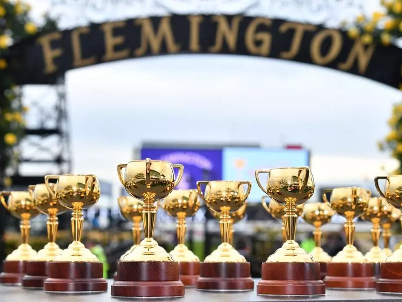 Melbourne Cup barrier draw.