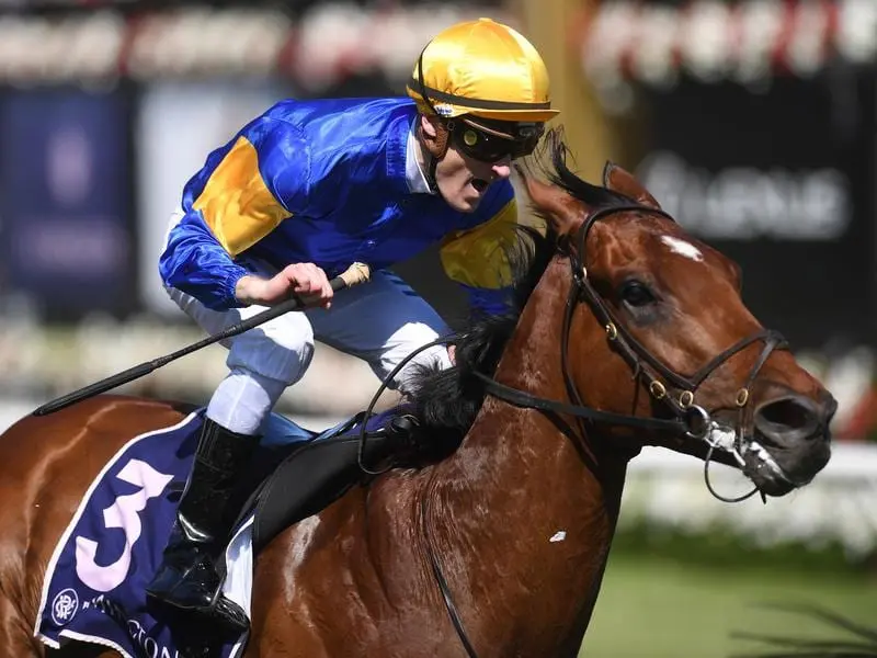 Santa Ana Lane will be striving for back-to-back wins in the VRC Sprint Classic at Group One level. Santa Ana Lane wins the 2018 VRC Sprint Classic.