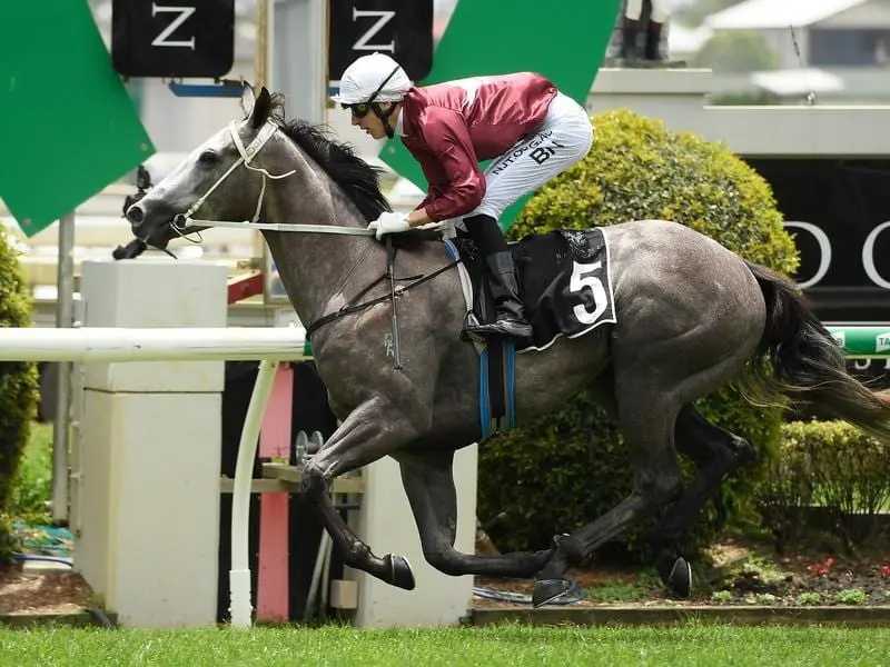 Lady Banff has more than repaid her $40,000 purchase price in winning at Doomben. Lady Banff wins at Doomben.