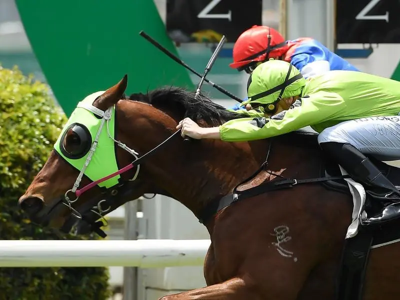 High Cost has produced a strong finish to bring up his ninth career win at Doomben. High Cost wins at Doomben.