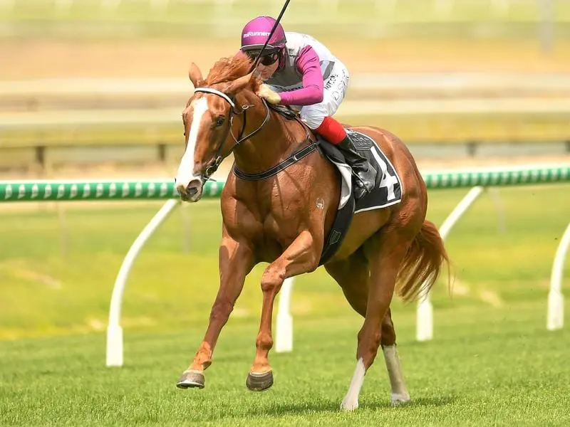 Dusty Tycoon wins at Doomben.