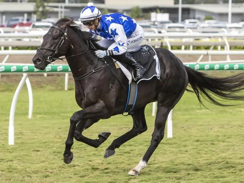 The Kelly Schweida-trained The Odyssey has returned to winning form at Eagle Farm. The Odyssey wins at Eagle Farm.