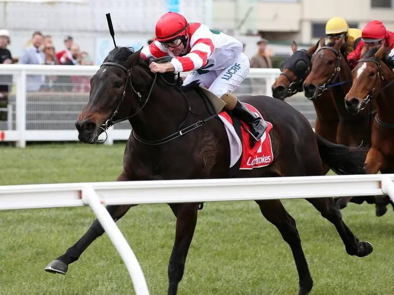 Trainer Grahame Begg believes Miss Siska is over the odds in the G1 Empire Rose Stakes. miss siska