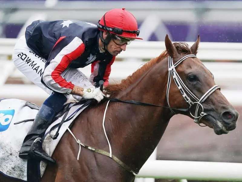 Dalasan wins the Carbine Club Stakes.