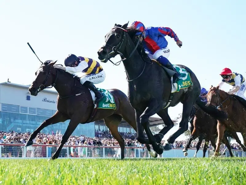 Runner-up in the Geelong Cup, Irish mare True Self (left) is favourite for the Queen Elizabeth. geelong cup