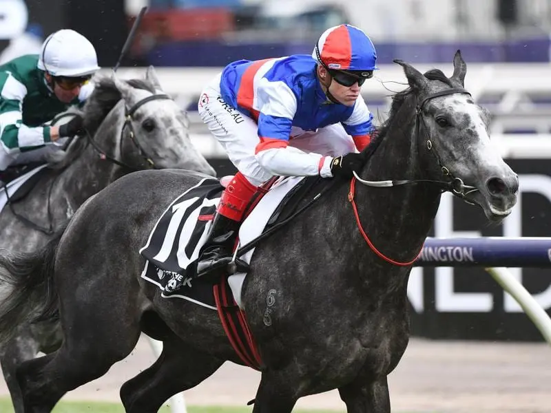 Melbourne Cup-winning rider Craig Williams has added to a memorable Flemington carnival. Craig Williams wins on Bumper Blast at Flemington.