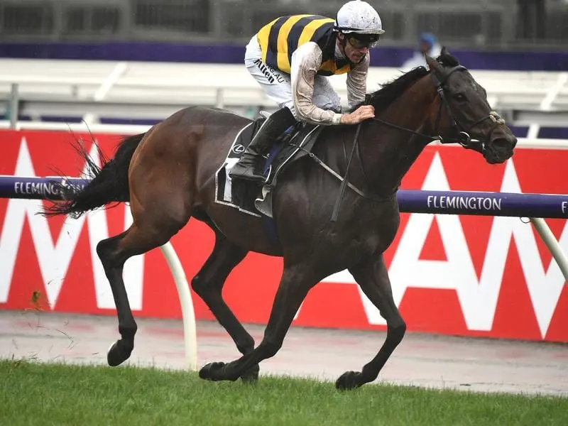 Irish-trained stayer Downdraft has clinched a Melbourne Cup start in winning the Hotham Stakes. Downdraft wins the Hotham Stakes at Flemington.