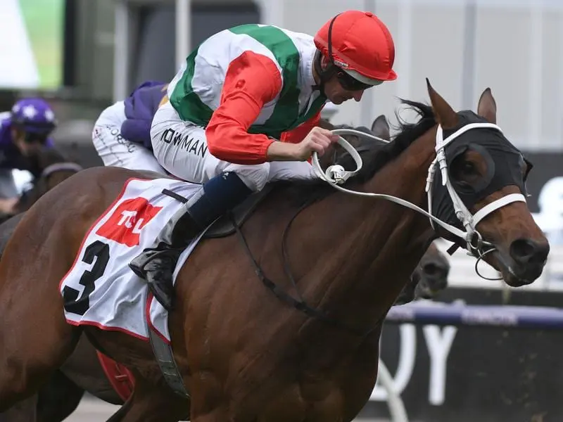 Pancho has given trainer Chris Waller and jockey Hugh Bowman a VRC Oaks day double at Flemington. Pancho wins at Flemington on VRC Oaks day.