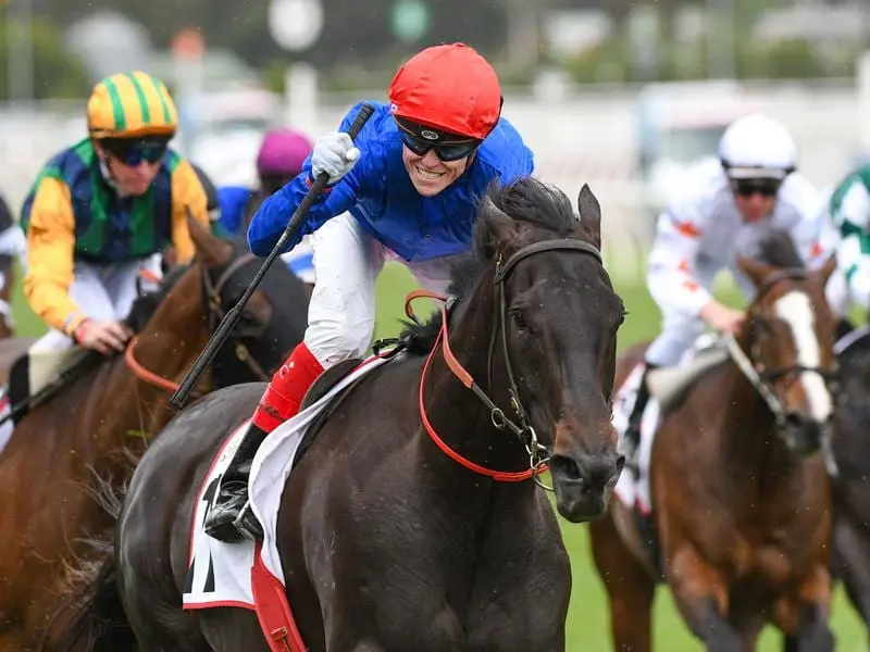 Soothing has skirted the outside rail at Flemington to win for Godolphin and jockey Craig Williams. Craig Williams wins on Soothing at Flemington.