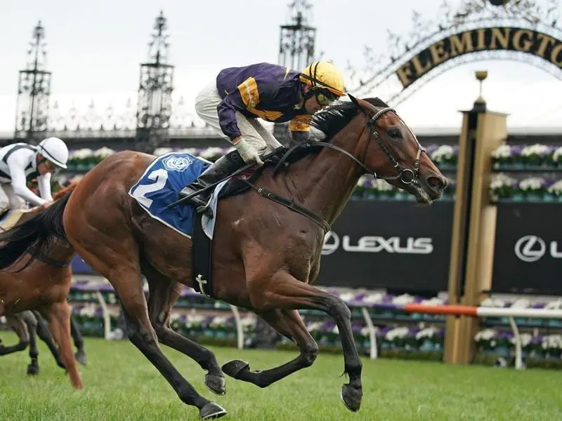 Tofane has capped a good day at the office for jockey Dwayne Dunn with her Furphy Sprint win. Tofane wins at Flemington.