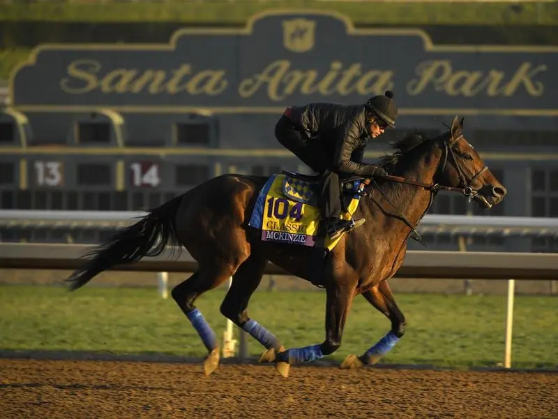 Officials at Santa Anita say they are taking measures to ensure the safety of all horses. santa anita