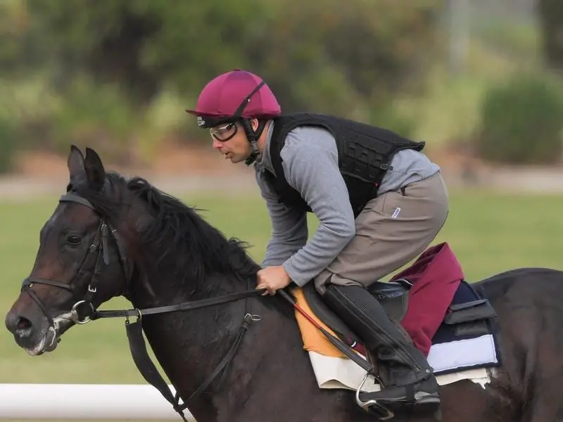 July Cup winner Ten Sovereigns has been retired to stand at Coolmore Stud. ten sovereigns