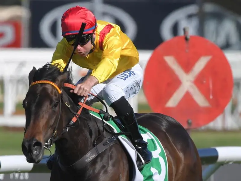 Trainer Anthony Cummings has faith in Mizzy and believes she can defy her Golden Eagle odds. mizzy