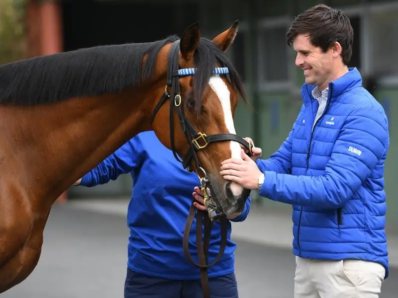James Cummings has Godolphin warrior Hartnell ready for Group One action in the Mackinnon Stakes. James Cummings with Hartnell.