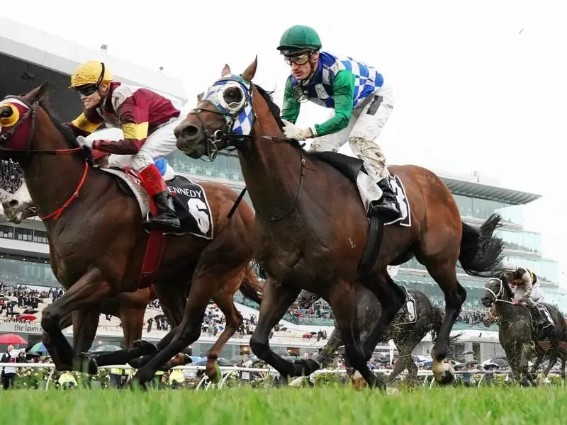 Fifth Stars (right) will be one of four runners for Lindsay Park in the Mackinnon Stakes. fifty stars